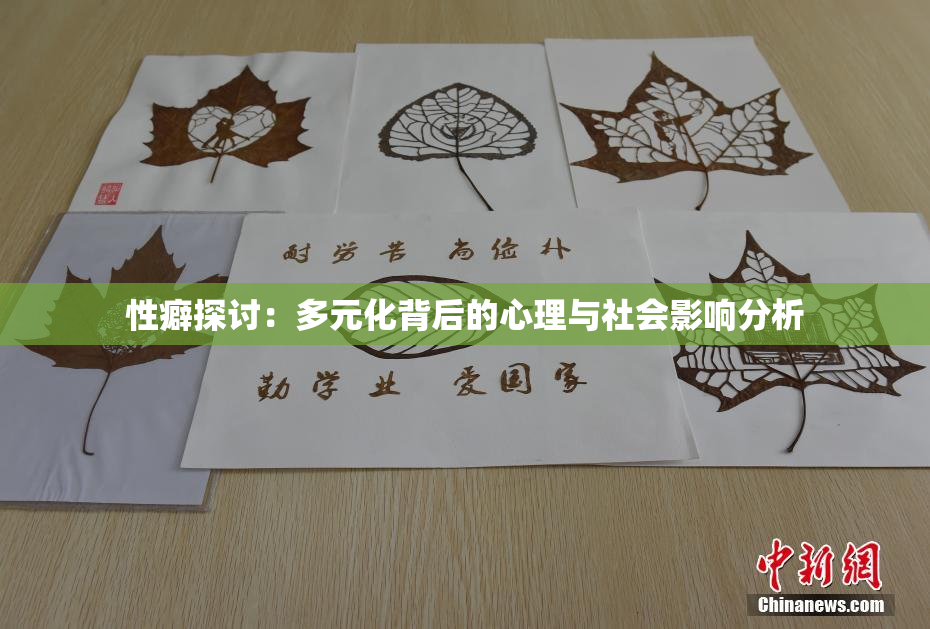 性癖探讨：多元化背后的心理与社会影响分析