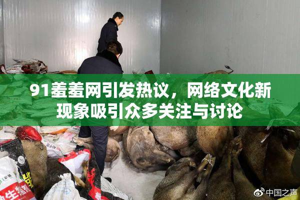 91羞羞网引发热议，网络文化新现象吸引众多关注与讨论