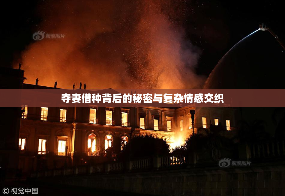 夺妻借种背后的秘密与复杂情感交织