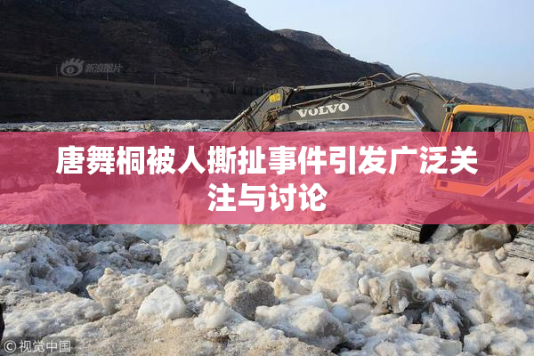 唐舞桐被人撕扯事件引发广泛关注与讨论
