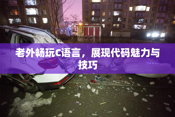 老外畅玩C语言，展现代码魅力与技巧