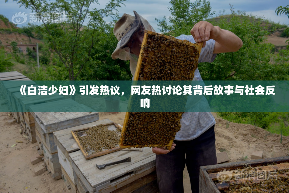 《白洁少妇》引发热议，网友热讨论其背后故事与社会反响
