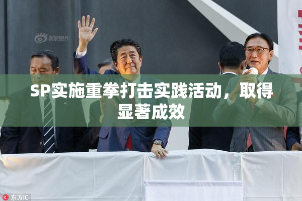 SP实施重拳打击实践活动，取得显著成效