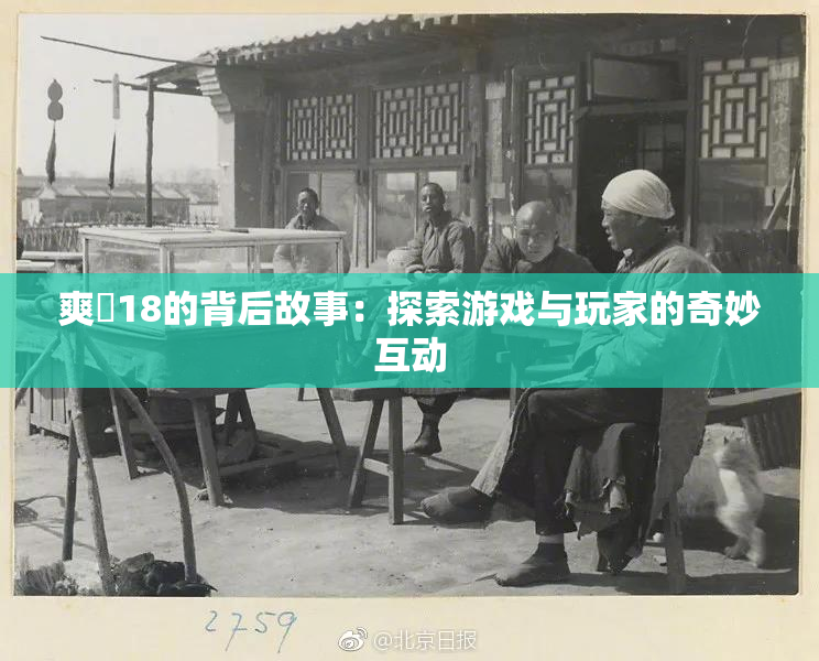 爽擼18的背后故事：探索游戏与玩家的奇妙互动