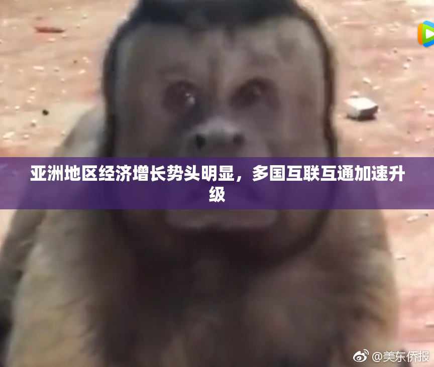亚洲地区经济增长势头明显，多国互联互通加速升级