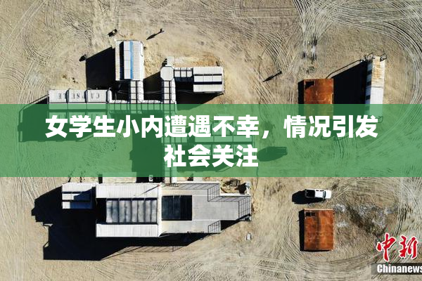 女学生小内遭遇不幸，情况引发社会关注