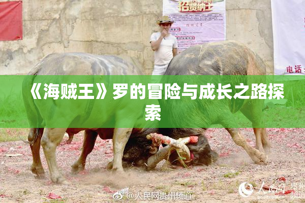 《海贼王》罗的冒险与成长之路探索