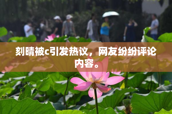 刻晴被c引发热议，网友纷纷评论内容。