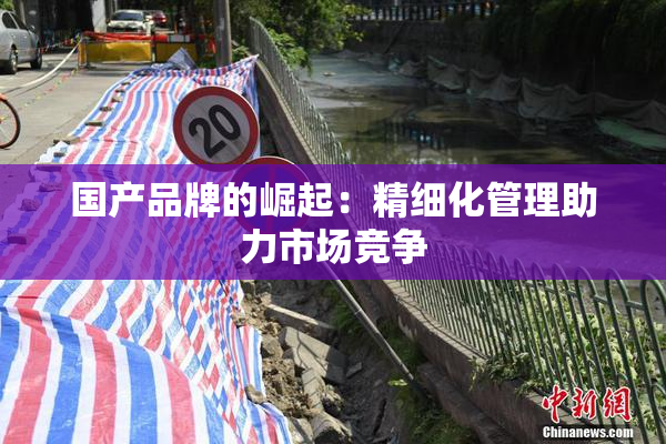 国产品牌的崛起：精细化管理助力市场竞争