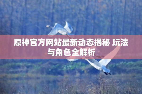原神官方网站最新动态揭秘 玩法与角色全解析