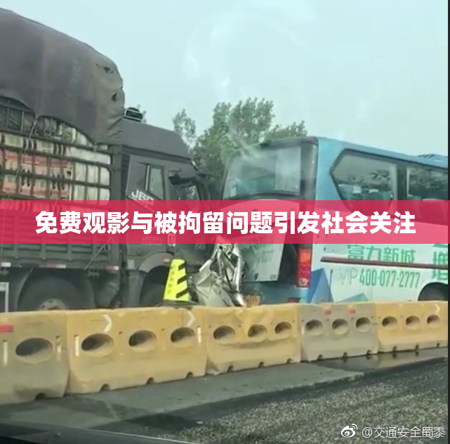 免费观影与被拘留问题引发社会关注