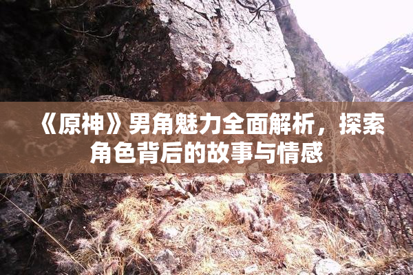 《原神》男角魅力全面解析，探索角色背后的故事与情感