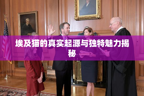 埃及猫的真实起源与独特魅力揭秘