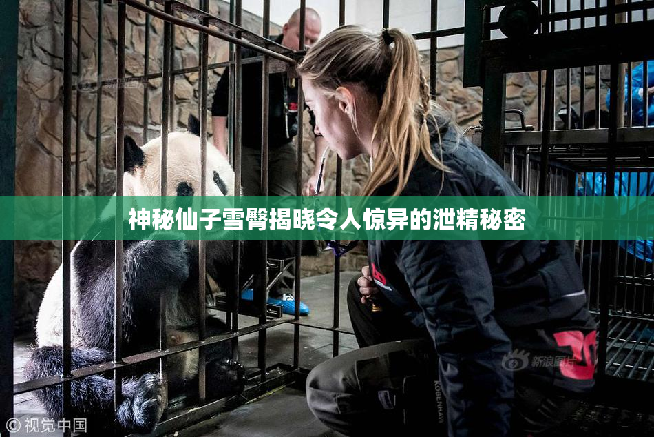 神秘仙子雪臀揭晓令人惊异的泄精秘密