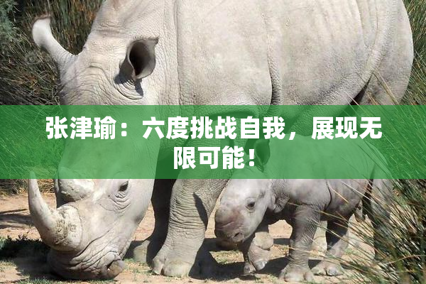 张津瑜：六度挑战自我，展现无限可能！