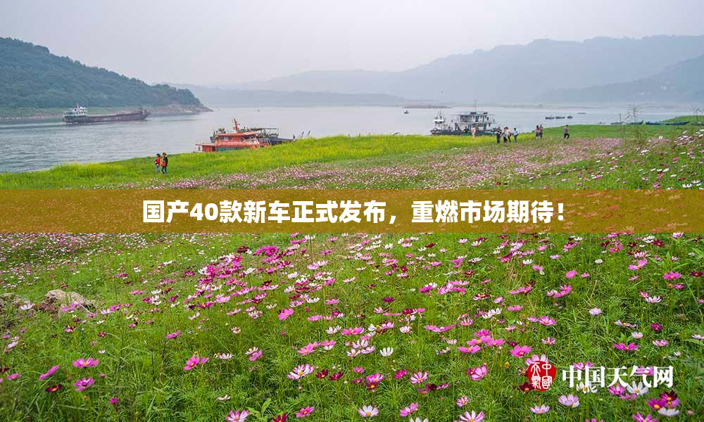 国产40款新车正式发布，重燃市场期待！