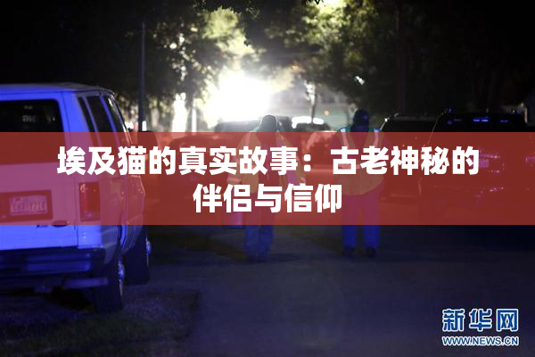 埃及猫的真实故事：古老神秘的伴侣与信仰