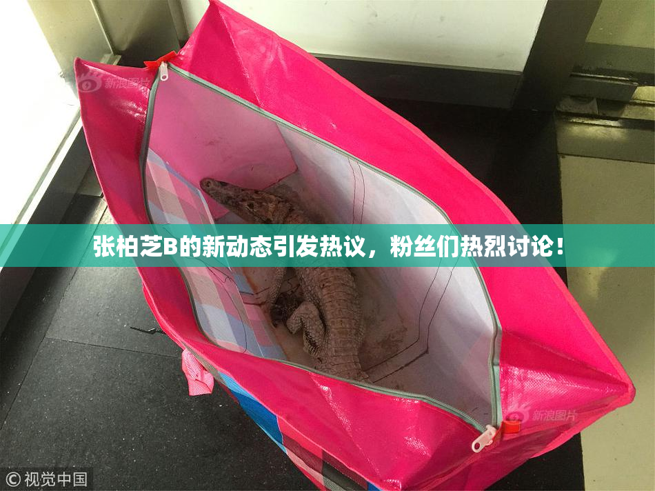 张柏芝B的新动态引发热议，粉丝们热烈讨论！