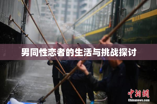 男同性恋者的生活与挑战探讨