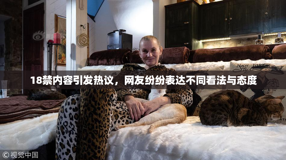 18禁内容引发热议，网友纷纷表达不同看法与态度