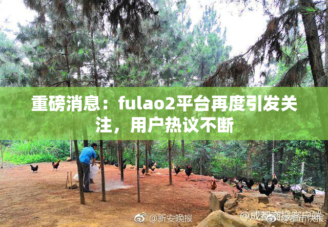 重磅消息：fulao2平台再度引发关注，用户热议不断