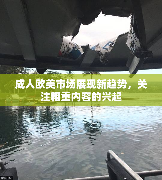 成人欧美市场展现新趋势，关注粗重内容的兴起