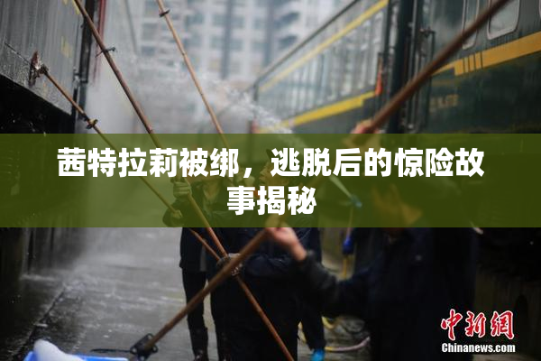 茜特拉莉被绑，逃脱后的惊险故事揭秘
