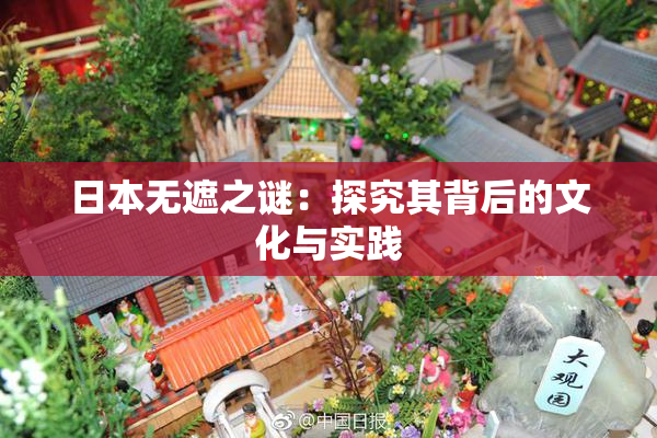 日本无遮之谜：探究其背后的文化与实践