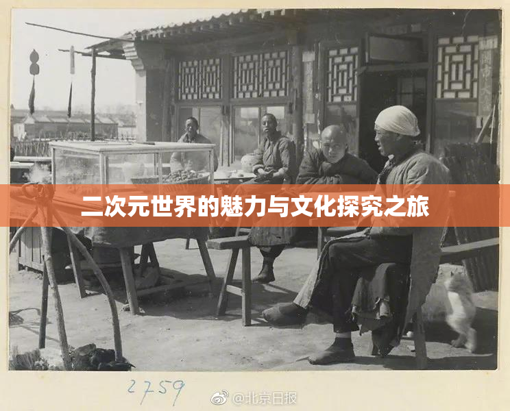 二次元世界的魅力与文化探究之旅