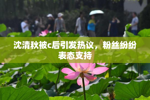沈清秋被c后引发热议，粉丝纷纷表态支持