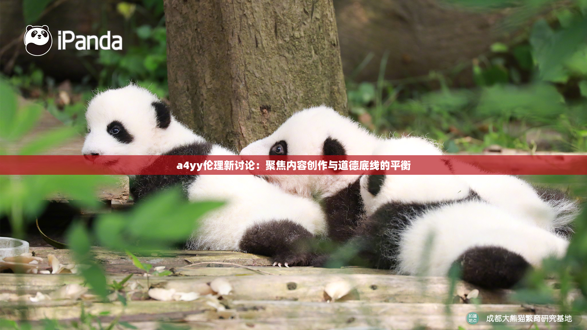 a4yy伦理新讨论：聚焦内容创作与道德底线的平衡