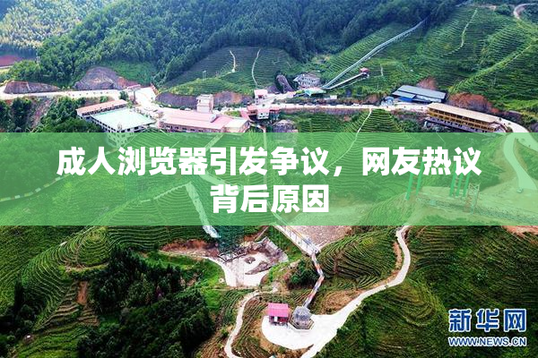 成人浏览器引发争议，网友热议背后原因