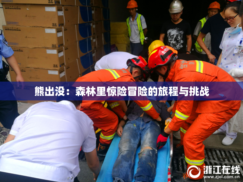 熊出没：森林里惊险冒险的旅程与挑战