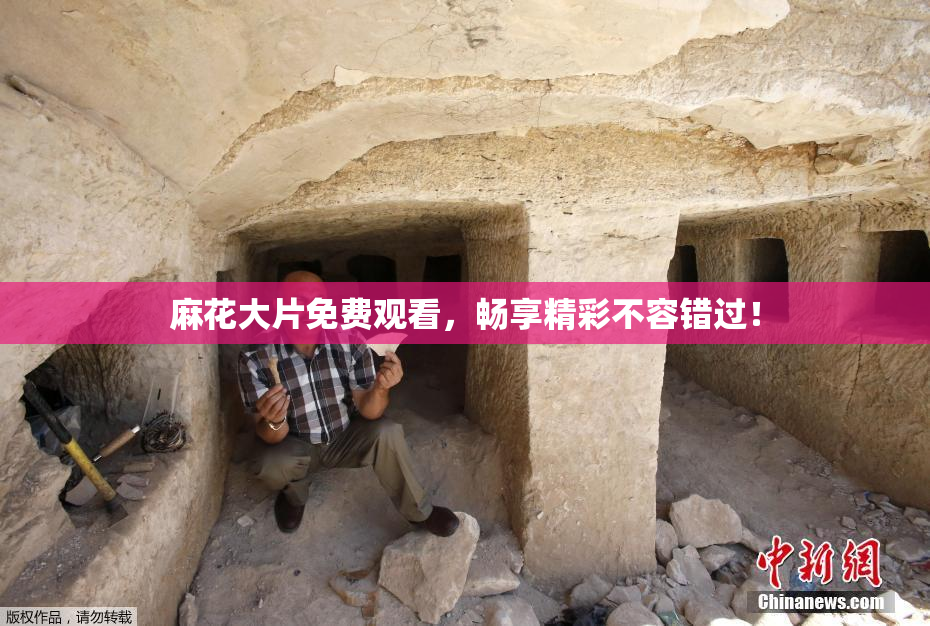 麻花大片免费观看，畅享精彩不容错过！