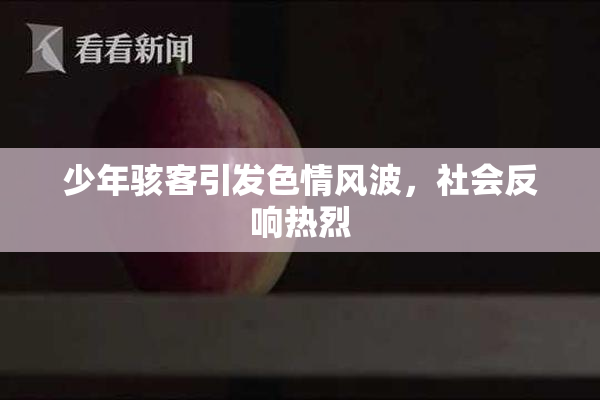 少年骇客引发色情风波，社会反响热烈