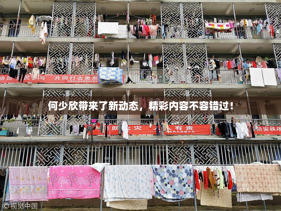 何少欣带来了新动态，精彩内容不容错过！