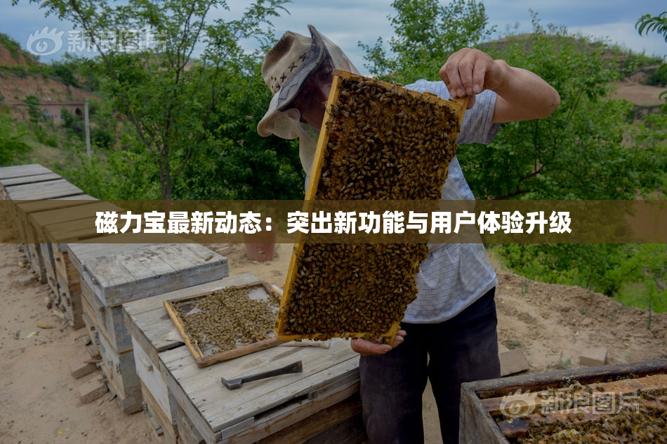 磁力宝最新动态：突出新功能与用户体验升级