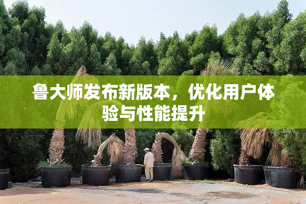 鲁大师发布新版本，优化用户体验与性能提升