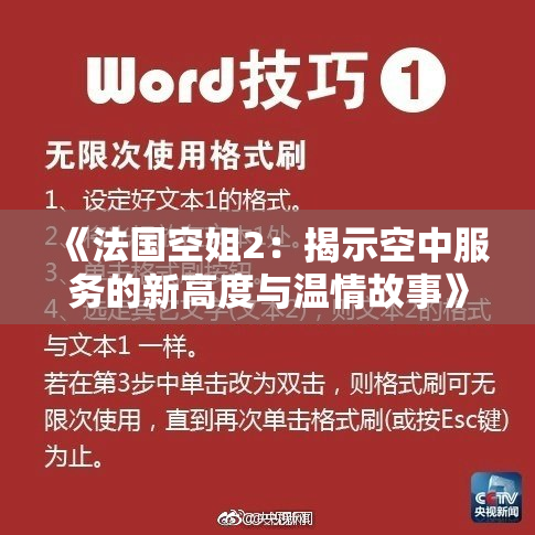 《法国空姐2：揭示空中服务的新高度与温情故事》