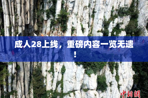 成人28上线，重磅内容一览无遗！