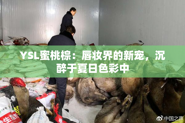 YSL蜜桃棕：唇妆界的新宠，沉醉于夏日色彩中