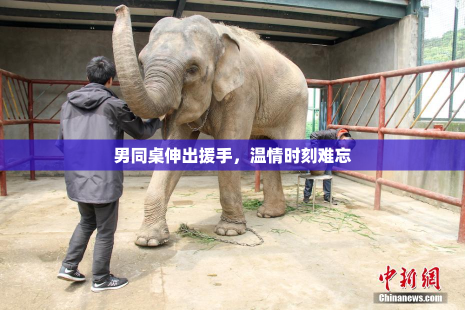 男同桌伸出援手，温情时刻难忘