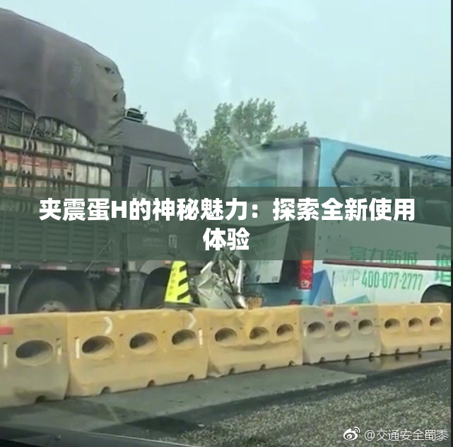 夹震蛋H的神秘魅力：探索全新使用体验
