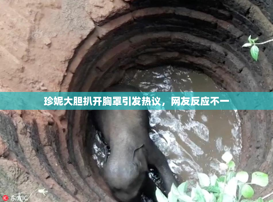 珍妮大胆扒开胸罩引发热议，网友反应不一