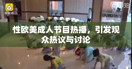 性欧美成人节目热播，引发观众热议与讨论