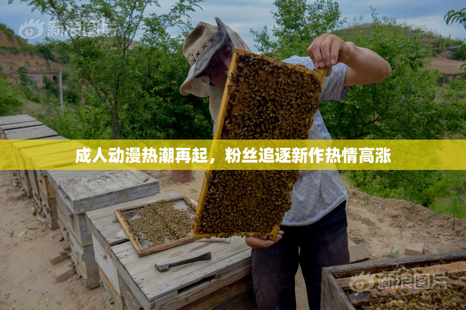 成人动漫热潮再起，粉丝追逐新作热情高涨