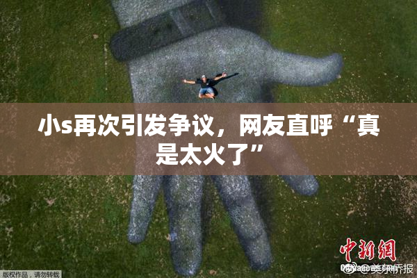 小s再次引发争议，网友直呼“真是太火了”