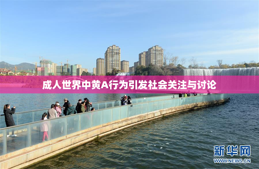 成人世界中黄A行为引发社会关注与讨论
