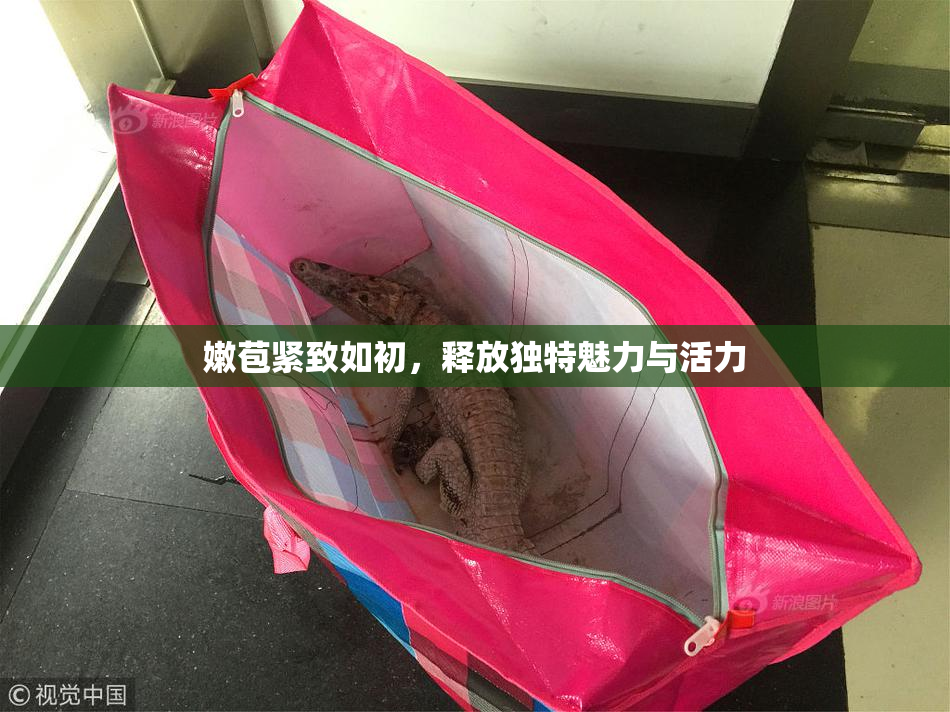 嫩苞紧致如初，释放独特魅力与活力