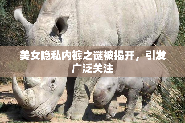 美女隐私内裤之谜被揭开，引发广泛关注